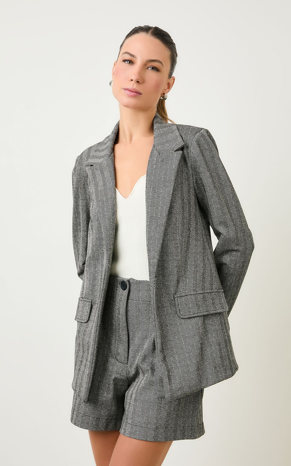 05653_0031_1-BLAZER-INOX